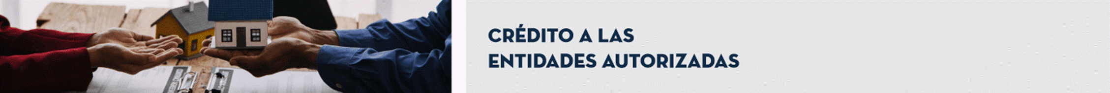 Título: Crédito a las Entidades Autorizadas.